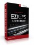 EZ Keys Electric Grand