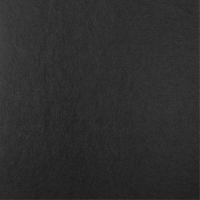 rt_line_ulysses_black_pet_icon_finish